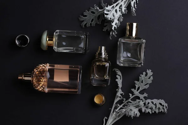 Beautiful Aroma Perfumes Set Dark Background — Stok fotoğraf