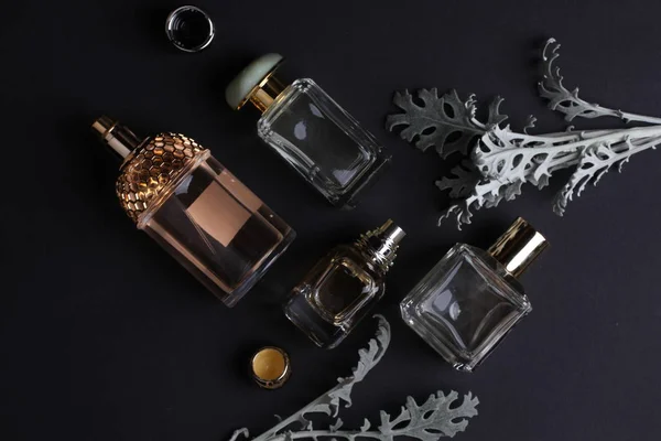 beautiful aroma perfumes set on dark background 