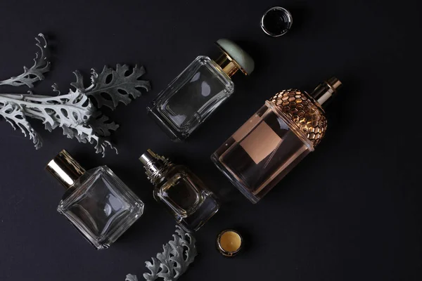 Beautiful Aroma Perfumes Set Dark Background Royaltyfria Stockfoton
