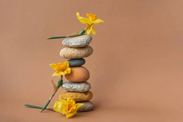 Zen evenwicht piramide van stenen en bloemen van narcissen Stockafbeelding