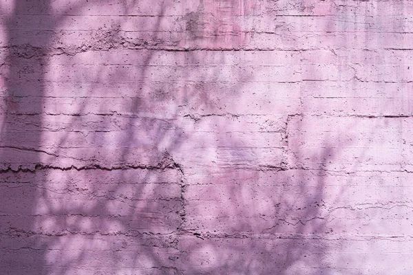 Old concrete facade wall painted with pastel pink color Stock Photo