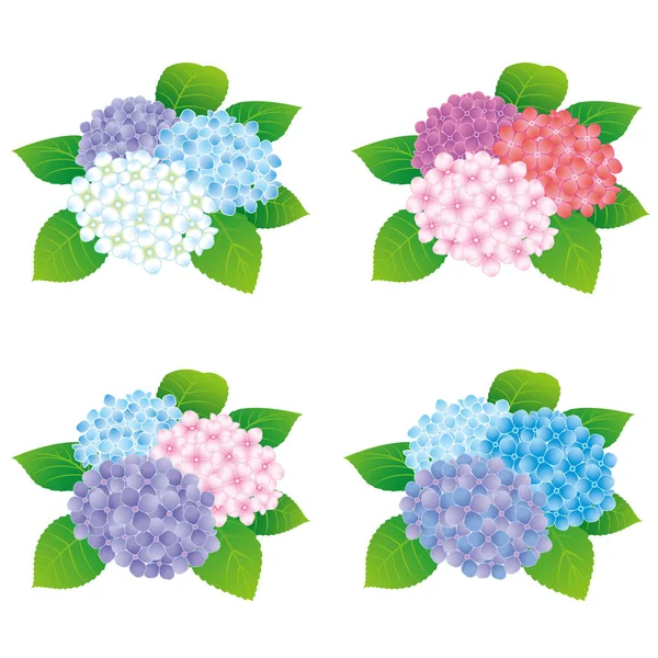 colorful hydrangea flowers icons