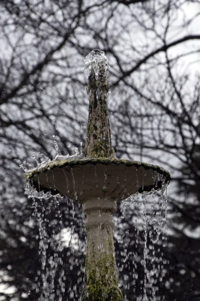 Gros Plan Fontaine Eau Jardins Botaniques Sheffield — Photo