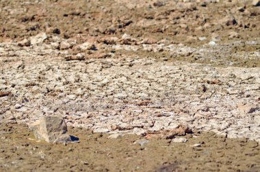 Balık Nehri Kanyonu, Namibya 'da pişirilmiş kuru toprak