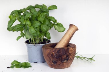 Fesleğen, biberiye ve kişniş yapraklarıyla havan topu ve tokmak.