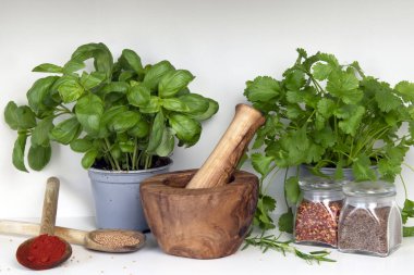 Çeşitli taze bitkiler, otlar ve baharatlarla havan topu ve tokmak.