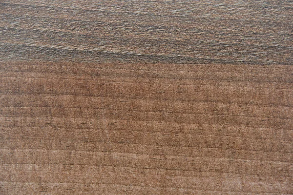 Двухцветная Текстура Дерева — стоковое фото