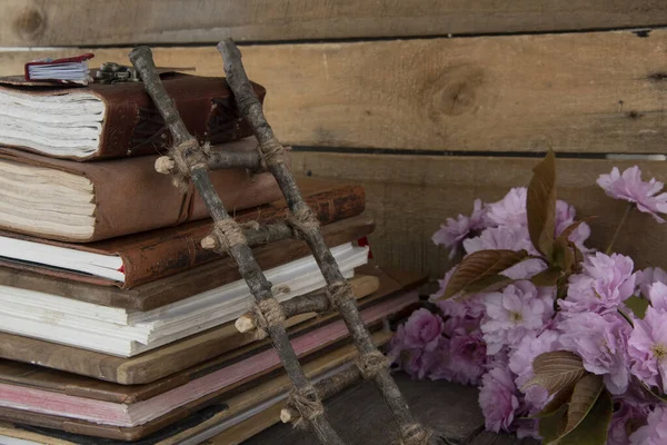 Une Pile Vieux Journaux Bois Avec Une Échelle Bois Miniature — Photo