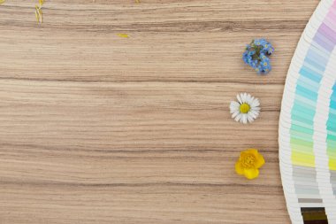 Tahta masadaki renkli kart aralığı ve farklı taze çiçekler.