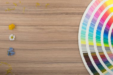 Ahşap masadaki renk kartı aralığı