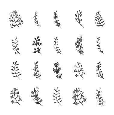 Tasarım için el çizimi nesneler. Beyaz arka planda siyah vektör karalama çiçeği. Soyut kalem boho dal çizimi. Sanatsal çizim elementleri bitki