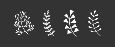 Tasarım için elle çizilmiş bir dal. Beyaz Vektör karalama çiçekleri. Soyut kalem boho çizimi. Sanatsal illüstrasyon elemanları kara tebeşir tahtasında bitki ve çiçek açar