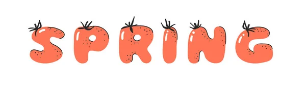 卡通矢量图解Tomatos Abc 手绘字体与素食和单词春天 实际创作艺术素食字母表 — 图库矢量图片