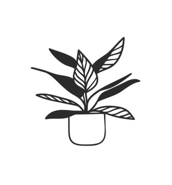 El çizimi iç mekan beyaz arka plan. Vektör Cozy Line Illustration. Yaratıcı sanat eserleri. Doodle ev bitkisi çiziyor