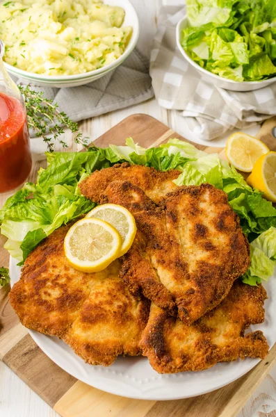 샐러드와 맛 있는 닭 꼬치 — 스톡 사진