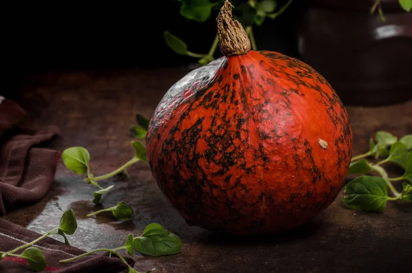 Hokkaido pumpkins rustic — Stock Photo, Image