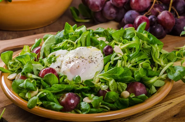 Salada de alface de cordeiro — Fotografia de Stock