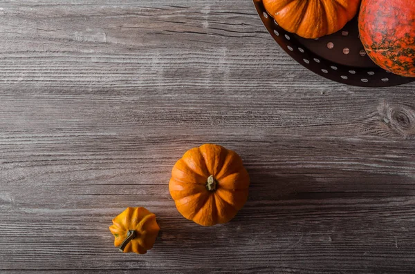 Foto de producto de calabaza —  Fotos de Stock