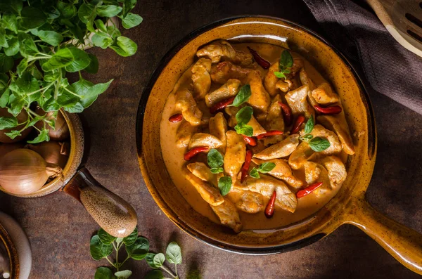 Delicious curry homemade — Stock Photo, Image