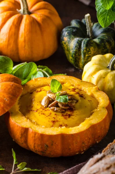 Sopa de calabaza cremosa —  Fotos de Stock