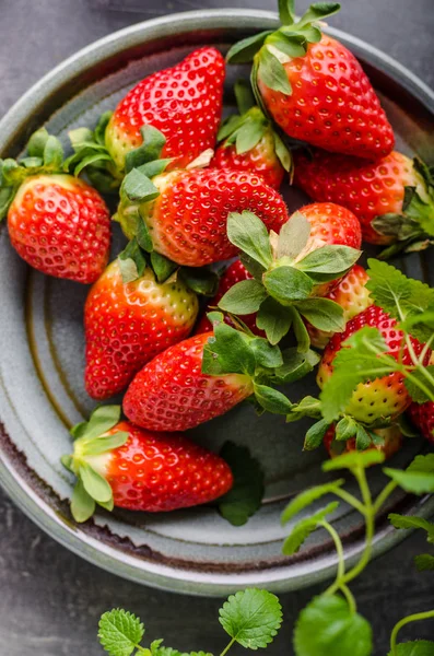 Fragole fresche raccogliere — Foto Stock