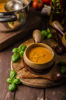 Lezzetli sebze domates çorbası