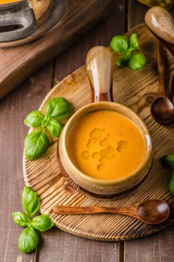 Lezzetli sebze domates çorbası