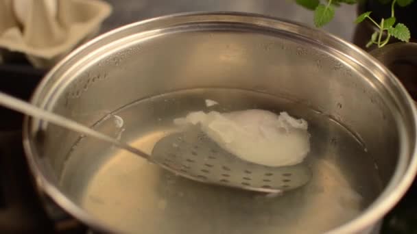 Benedykt jajeczne z sosem holenderskim gotowanie video — Wideo stockowe