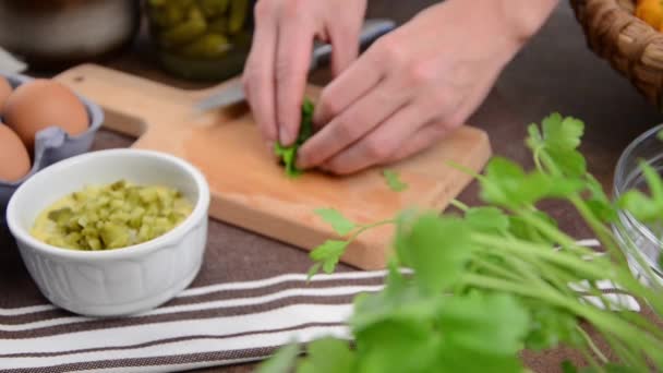 Grabaciones caseras de salsa de mayonesa tártara — Vídeos de Stock