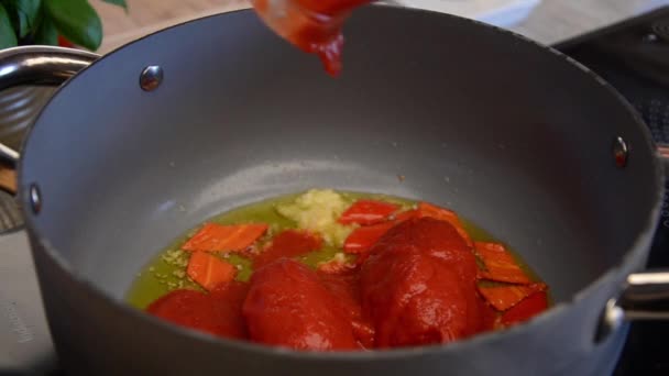 Съемки томатного соуса восхитительны, готовка на складе — стоковое видео