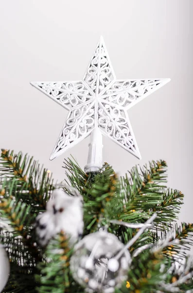 Weihnachtsbaum traditionell — Stockfoto