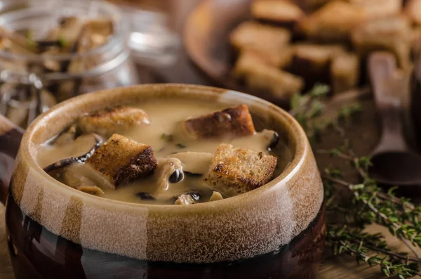 Rustikale Pilzsuppe — Stockfoto