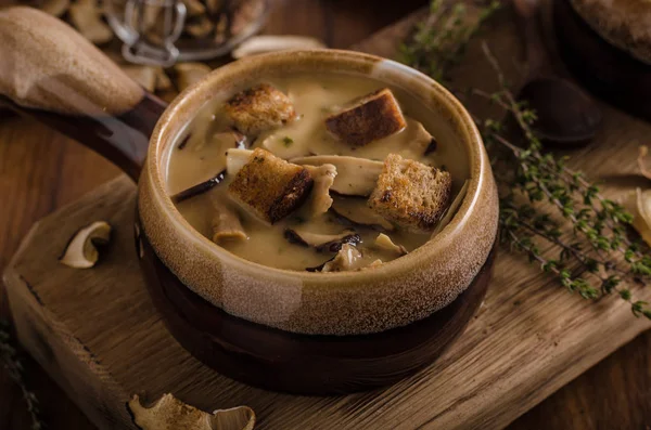 Rustic mushrooms soup — Stock Photo, Image