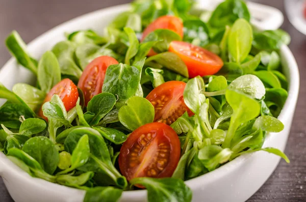 Baranka sałata sałatka, pomidory i zioła — Zdjęcie stockowe