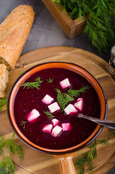 Свекольный суп с сыром и травами — стоковое фото