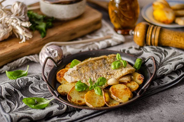 Zander fish grilled — 스톡 사진