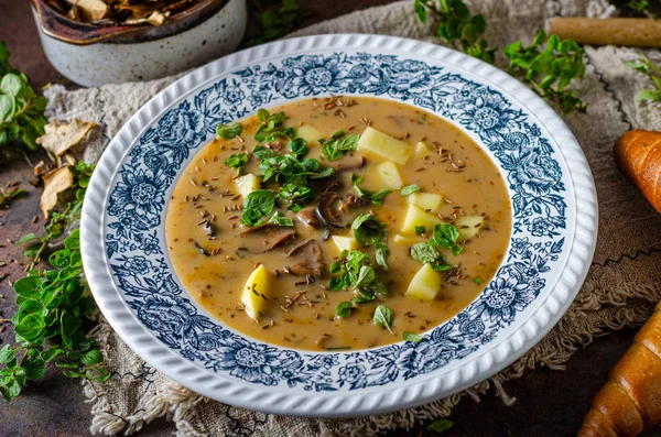 Zuppa di funghi patate — Foto Stock