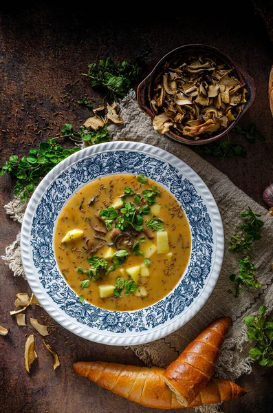 Суп з картопляних грибів — стокове фото