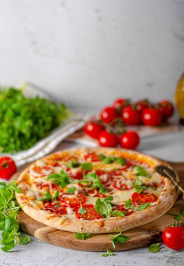 Domatesli, mozarellalı ve otlu lezzetli sade pizza.
