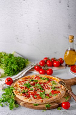 Domatesli, mozarellalı ve otlu lezzetli sade pizza.