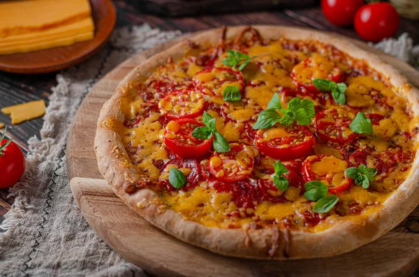 Pizza Casera Rústica Con Cheddar Chesse Salami Picante —  Fotos de Stock