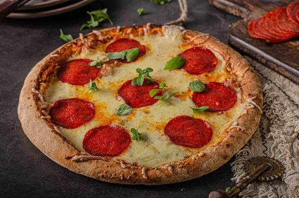 Вкусная Простая Пицца Домашнего Приготовления Острыми Углами Салями Сыром — стоковое фото