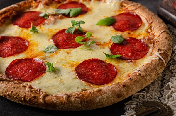 Heerlijke Eenvoudige Pizza Zelfgemaakt Met Scherpe Salami Kaas Hoeken — Stockfoto