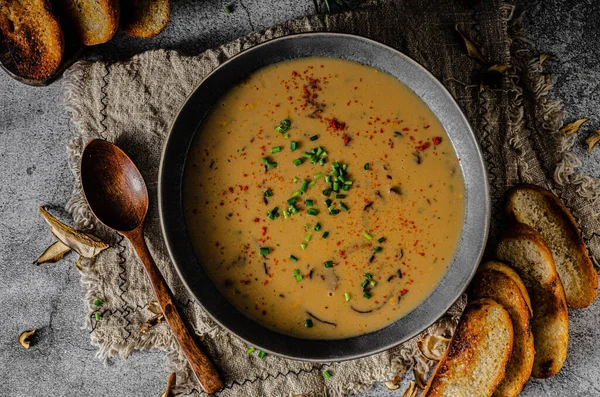 Delicious Soup Forest Mushrooms Crispy Herb Baguette — Stock Photo, Image