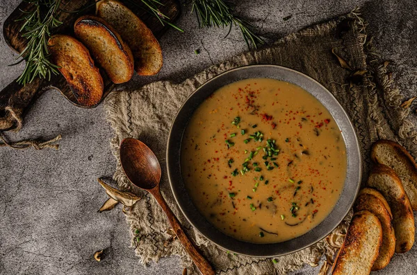 Deliciosa Sopa Setas Del Bosque Baguette Hierbas Crujientes —  Fotos de Stock