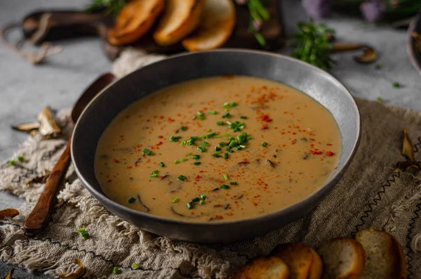 Köstliche Suppe Aus Waldpilzen Knuspriges Kräuterbaguette — Stockfoto