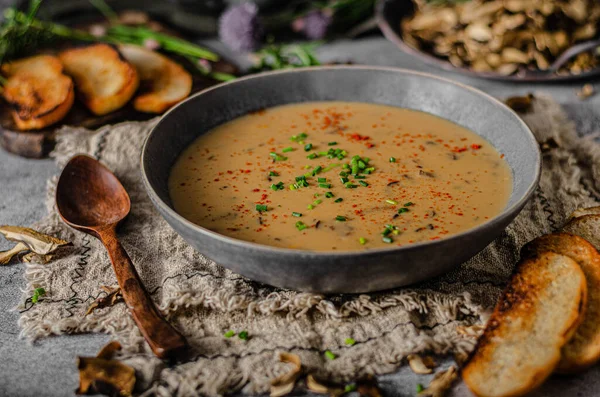 Delicious Soup Forest Mushrooms Crispy Herb Baguette — Stock Photo, Image