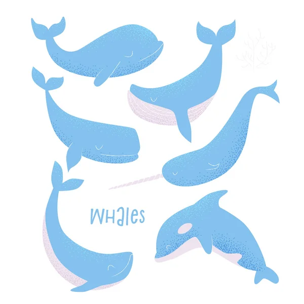 Tarjeta con ballenas azules — Archivo Imágenes Vectoriales
