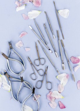 Makyöz, kuaför ve manikür ustası aletleri. fırçalar, makas, meme uçları, ütü ve saç kurutma makineleri.