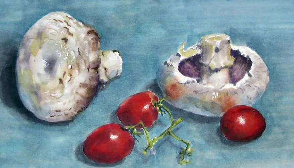 Champignons and tomatoes on a turquoise background. Drawing markers.